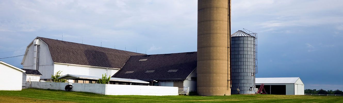 Barn and silo.