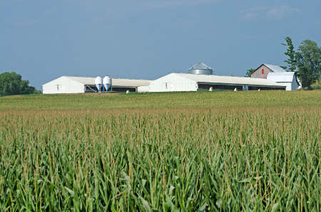 Farm land.