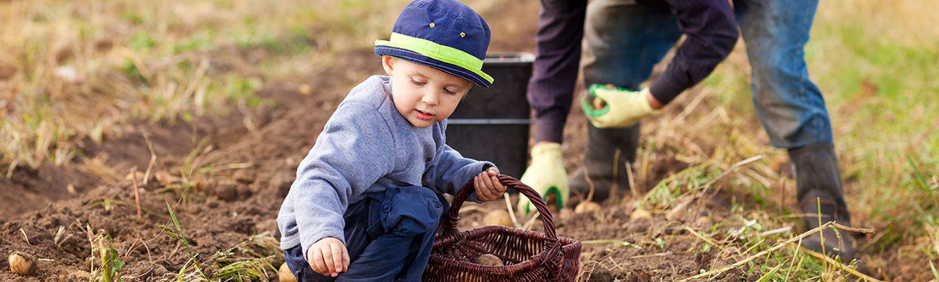 Little boy helping on the farm.